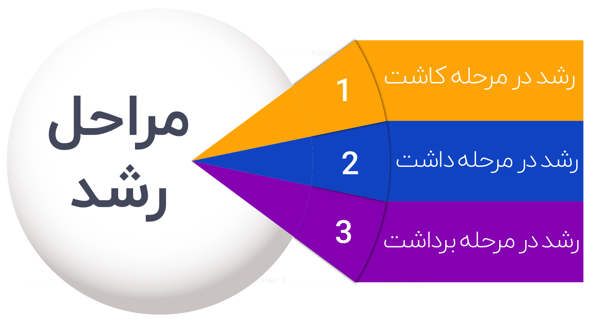 هک رشد کسب و کار