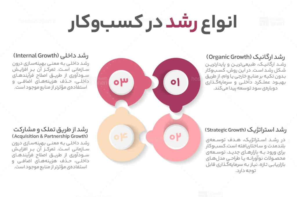 استراتژی رشد