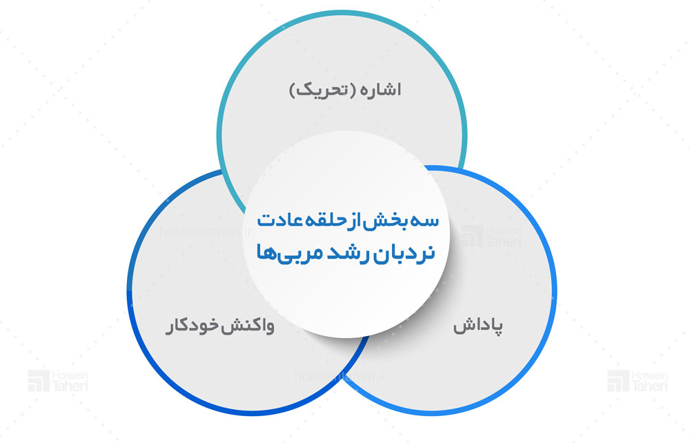 3 روش رشد بیزنس کوچینگ