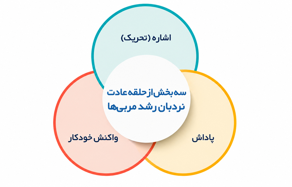3 روش رشد بیزنس کوچینگ