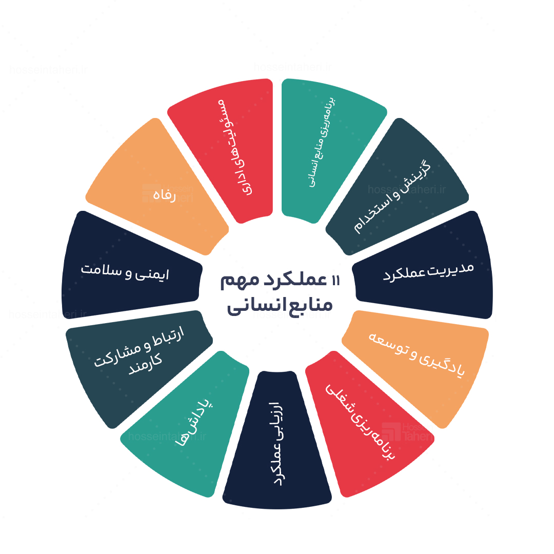 11 عملکرد سرمایه انسانی