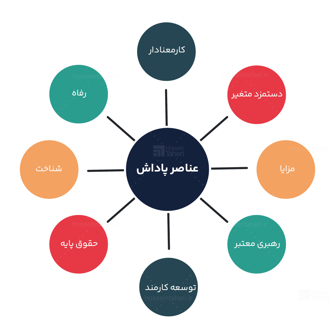 11 عملکرد سرمایه انسانی