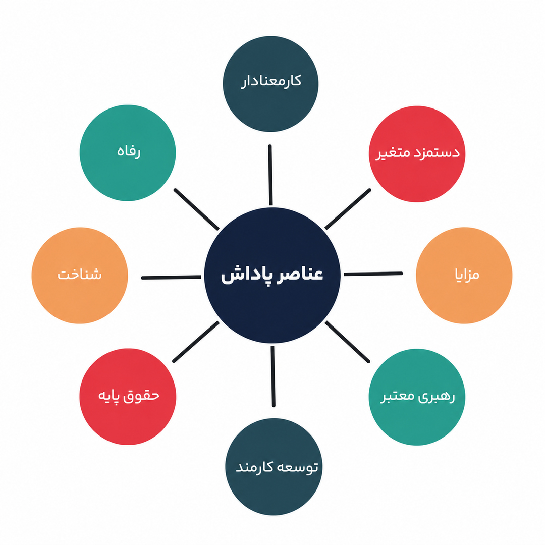 11 عملکرد سرمایه انسانی