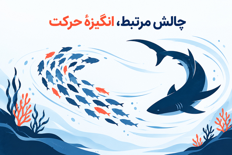 شارک فیش